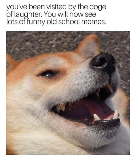 dog laughing meme|dog laughing hard meme.